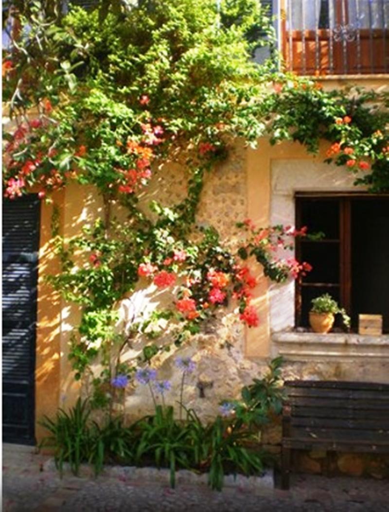 Montaner Hotel 3*